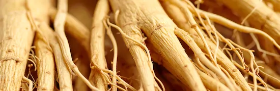 Panax ginseng extract used in GLP THREE™ metabolic support supplement